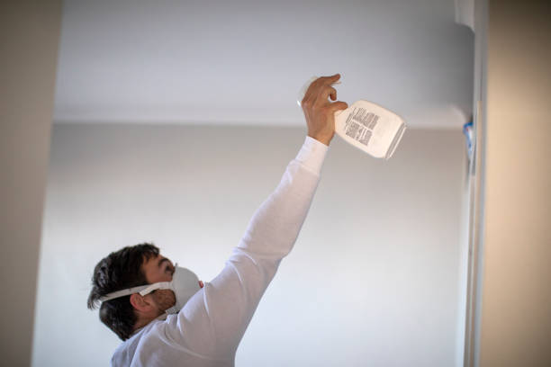 Best Certified Mold Removal  in Nashville, TN