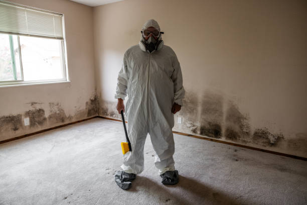 Reliable Nashville, TN Mold Removal Solutions